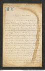 Nachlass Franz Steindachner, Brief von Maria von Lommicki an Franz Steindachner (31.01.1878), Inv.Nr. 310.01, Seite 1